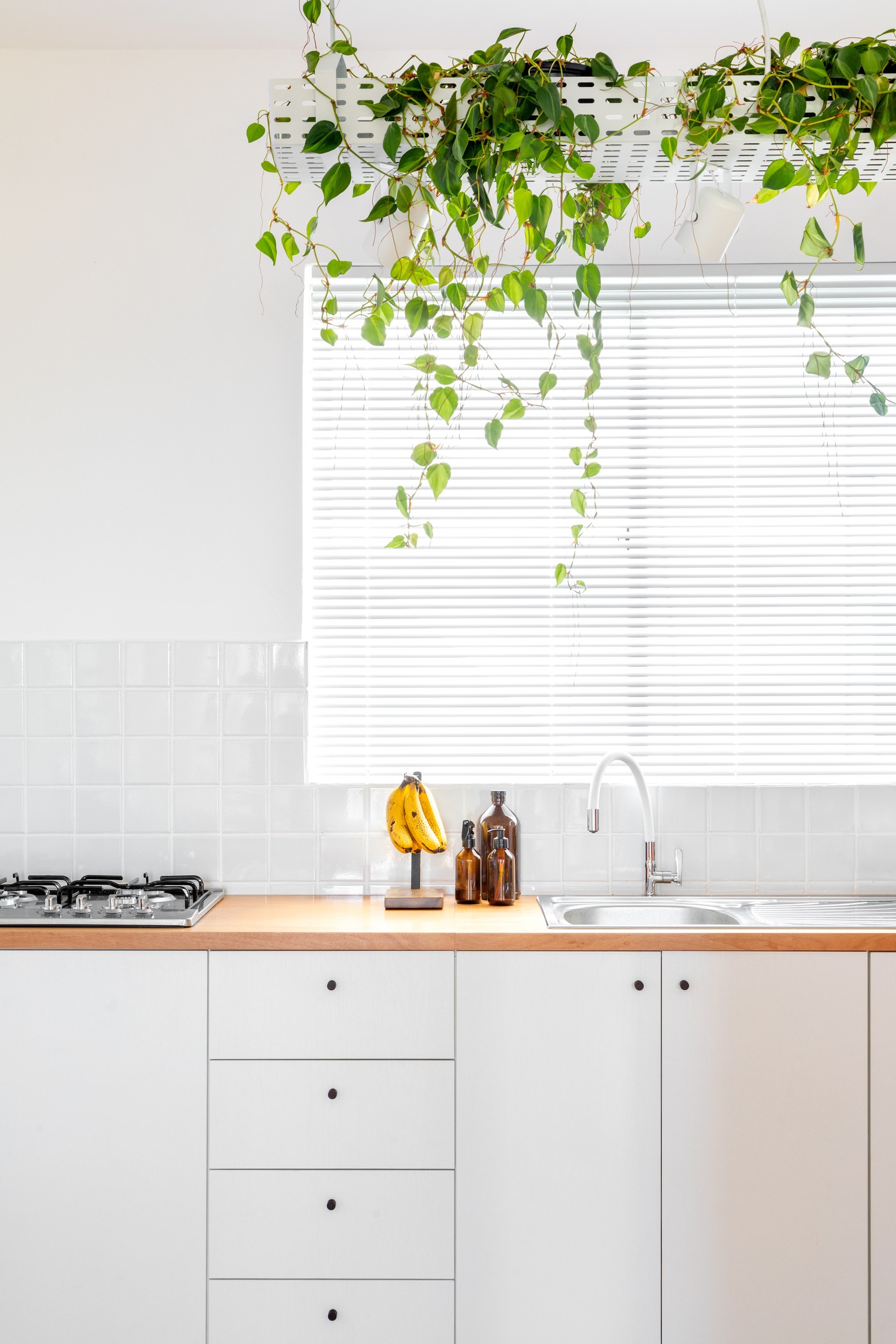 Décor do dia: cozinha branca com prateleira de plantas e ares minimalistas (Foto: Fabio Jr. Severo)