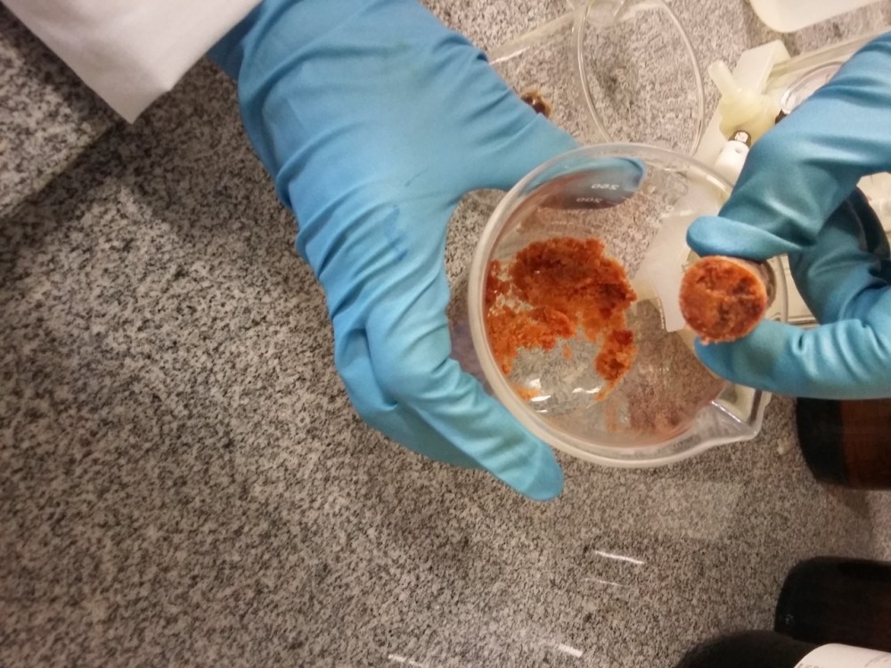 Pesquisadores isolaram oito novos polifenóis na variedade mais rara de própolis. Dois deles apresentaram, nos testes in vitro, potencial de inibir a proliferação de células tumorais (Foto: acervo do pesquisador)