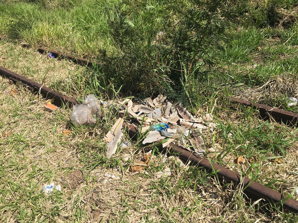 Ferrovia está abandonada na região de Presidente Prudente — Foto: Aline Costa/G1