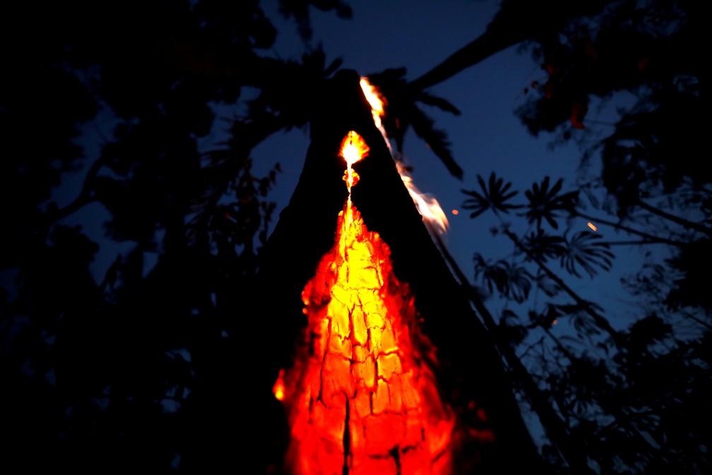 Foto feita em 11 de setembro de 2019 ostra tronco de árvore em chamas durante incêndio em Itapua do Oeste, em Rondônia, na Amazônia. — Foto: Bruno Kelly/Reuters