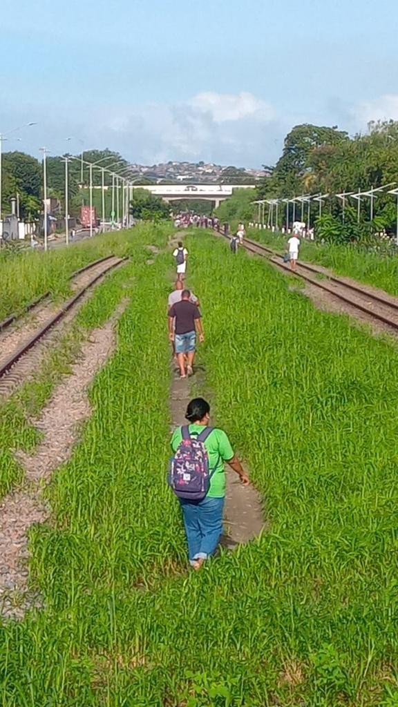 VLT quebra e passageiros da Linha Diesel do Metrô do Recife andam entre os trilhos, em meio ao mato