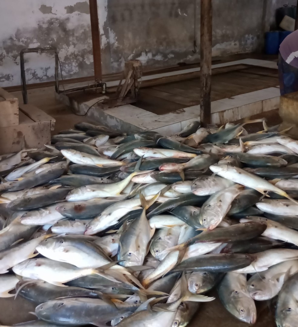 Pescaria aconteceu em Macau, na Região da Costa Branca — Foto: Divulgação