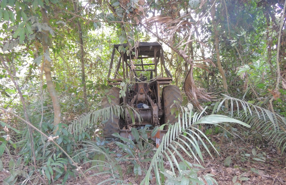 Em outubro de 2018, tratores usados para extração ilegal de legal foram encontrados em área indígena. — Foto: Ibama