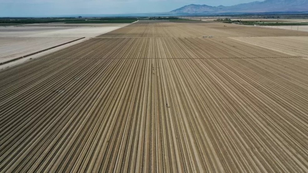 Califórnia enfrenta sua pior seca desde 1977 — Foto: Reuters