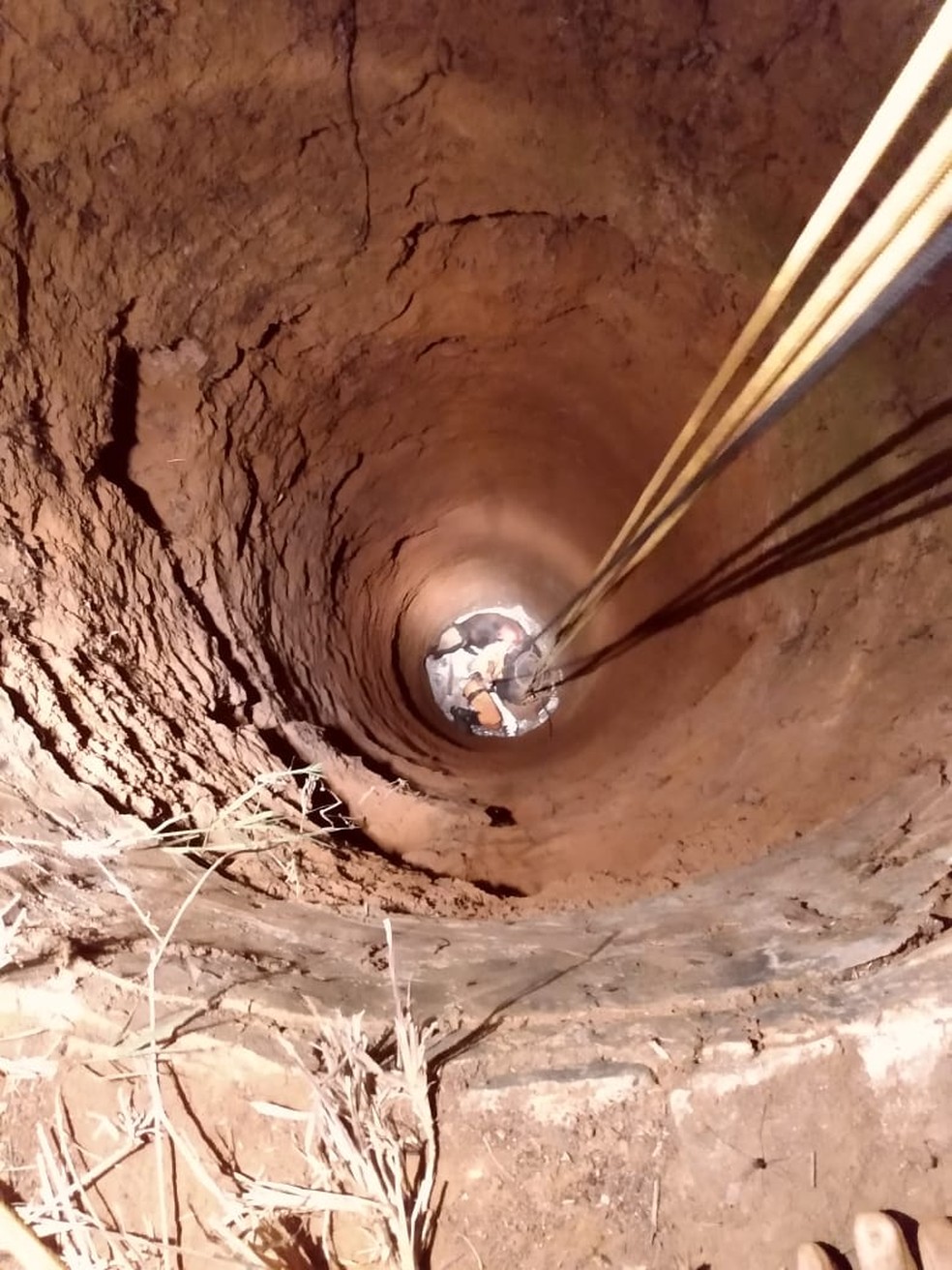 Poço tinha lâmina d´água de 1m e bombeiros tiveram dificuldades para retirar animal — Foto: Ascom CBMAL