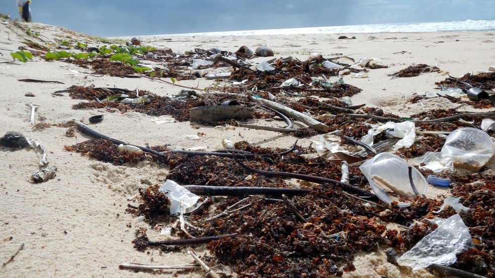 No ranking dos países mais poluidores dos mares, o Brasil ocupa a 16ª posição, segundo estudo americano  (Foto:  Elisa Van Sluys Menck)