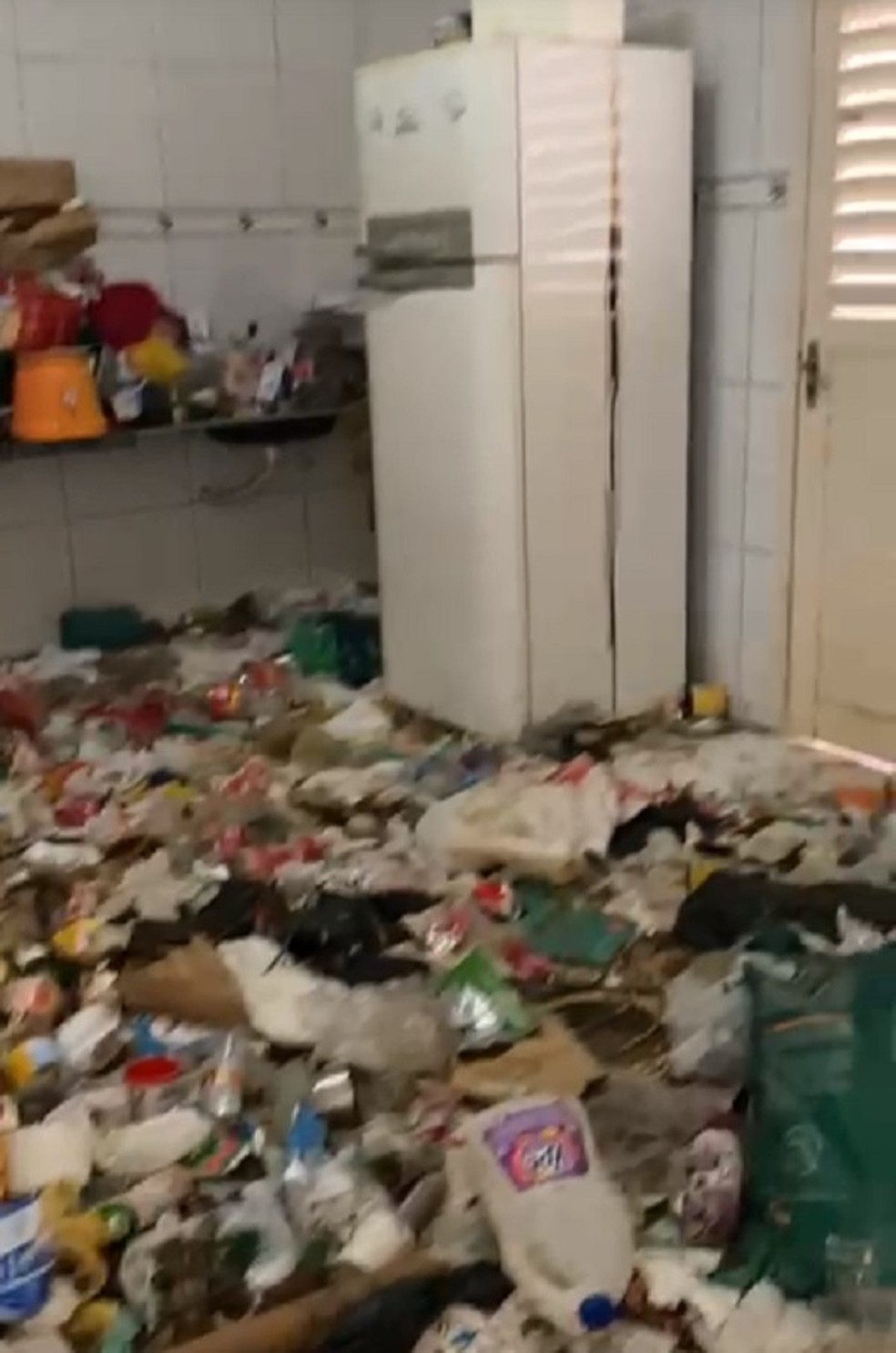 Adolescente foi encontrado junto com mais de 20 animais em casa cheia de lixo  — Foto: Reprodução
