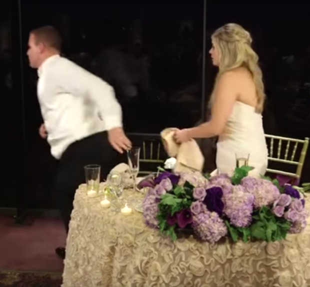 Bombeiro, noivo salva vida de convidada durante casamento (Foto: Reprodução/Youtube)