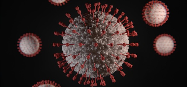 covid, coronavirus, omicron (Foto: Unsplash)