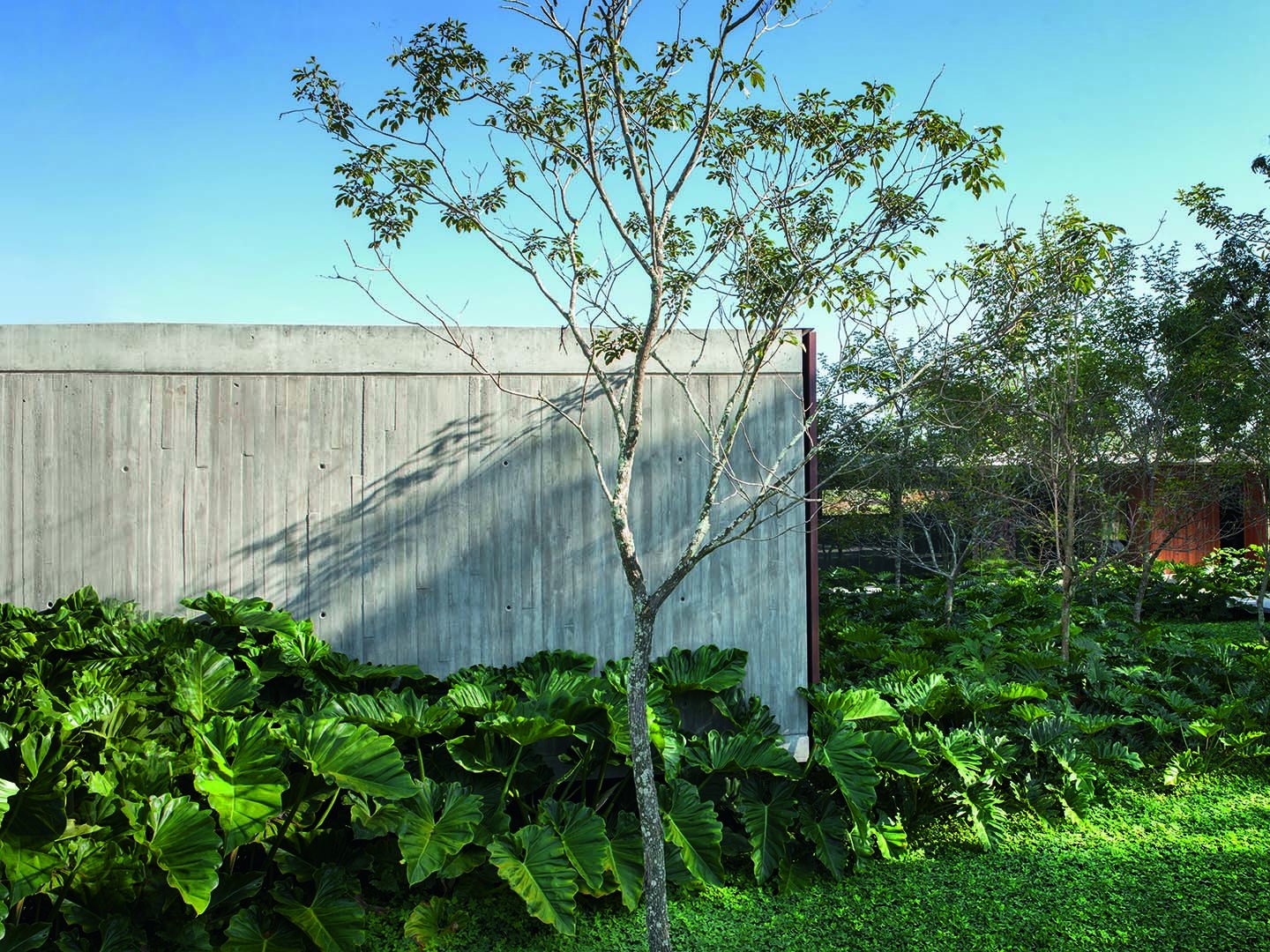 Casa de 880 m² em Brasília se mistura ao jardim  (Foto: Marcos Mendes Manentes/Front Filmes/Divulgação)