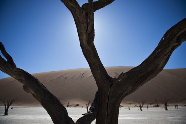 As árvores do Deadvlei têm cerca de 900 anos de idade e estão mortas há centenas de anos (Foto: Martin Bureau/AFP)