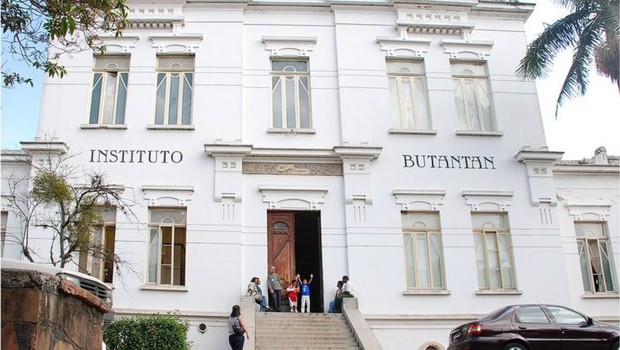 Instituto Butantan diz que vai entrar 'em breve' com pedido para começar as fases 2 e 3 dos testes com a ButanVac (Foto: Butantan via BBC News)