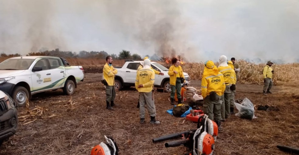 Equipes do ICMBio, brigadistas e militares do Corpo de Bombeiros auxiliam no combate às chamas — Foto: Fundação Neotrópica do Brasil/Divulgação