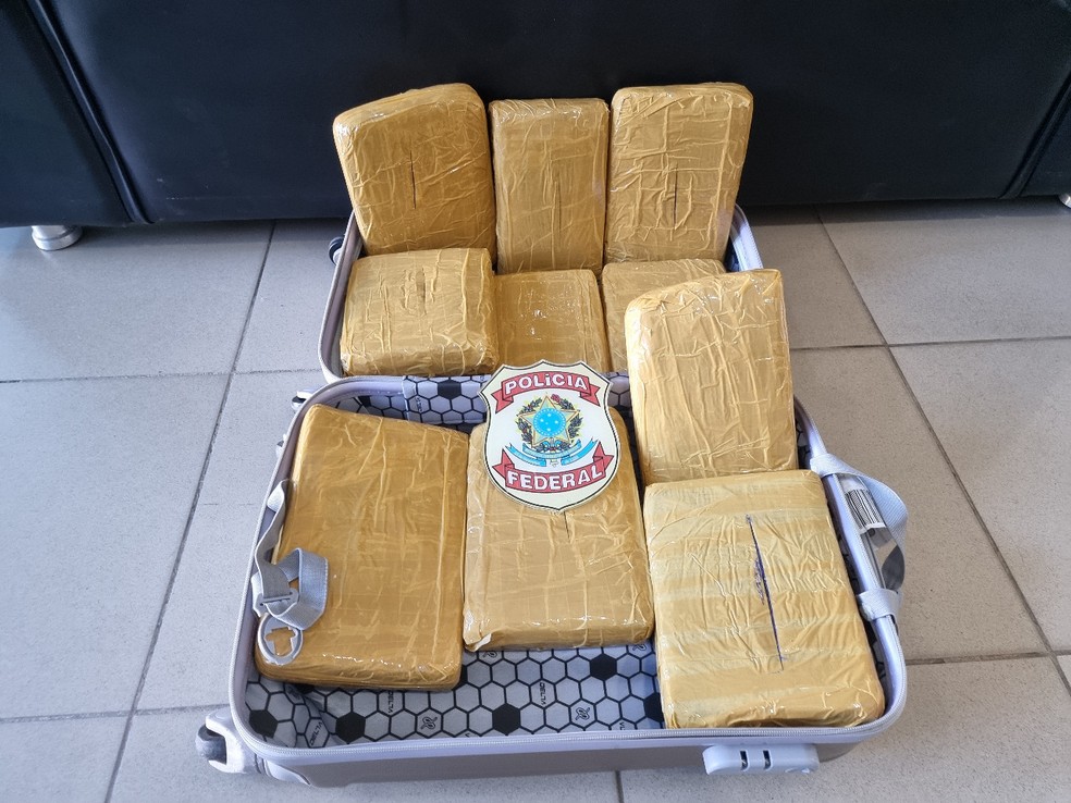 PF apreendeu 10,1 quilos de maconha em mala de cabeleireira de 23 anos, na quinta-feira (17), no Aeroporto do Recife — Foto: Polícia Federal/Divulgação