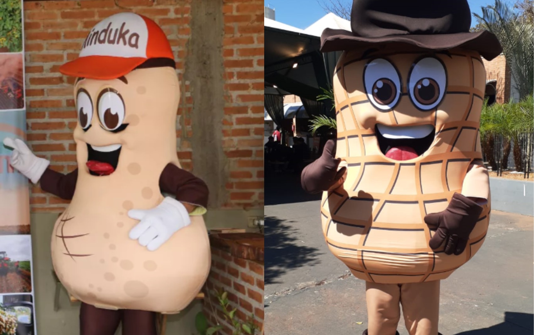 Após viralizar com aspecto fálico, mascote de feira ganha forma de amendoim em Jaboticabal, SP