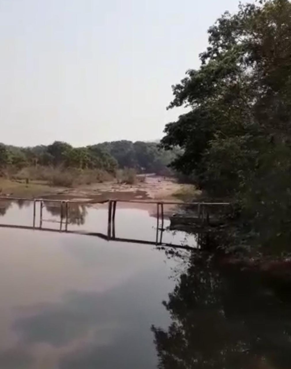Centenas de peixes mortos no Rio Corrente em Itiquira (MT) — Foto: Reprodução