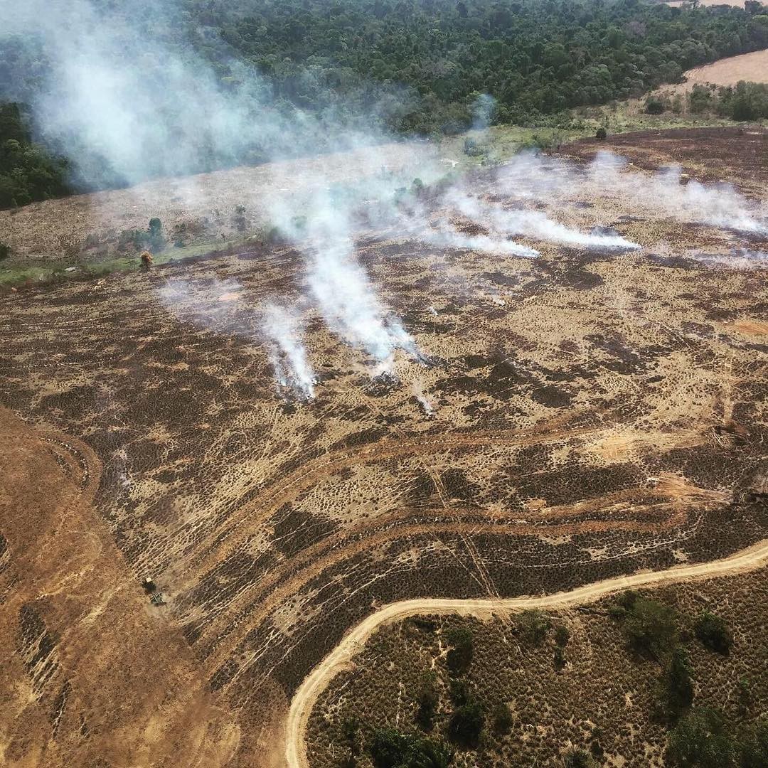 Desmatamento Amazônia (Foto: Instagram (@342mazonia)/ reprodução)