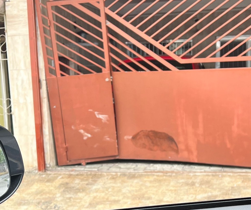 Testemunha tirou foto de como o portão de uma casa ficou após veículo ter prensado ator de 'Pantanal' e amigo  — Foto: Divulgação/Arquivo pessoal