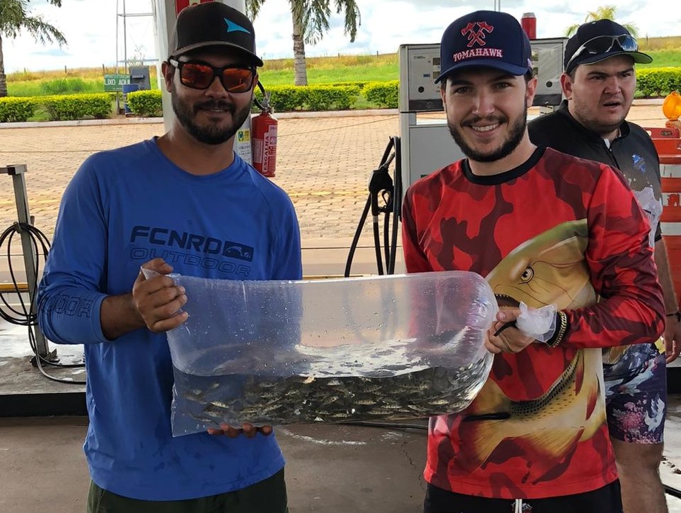 Repovoamento de peixes foi feito no Rio Aguapeí, em Rinópolis — Foto: Igor Augusto Gibara de Oliveira