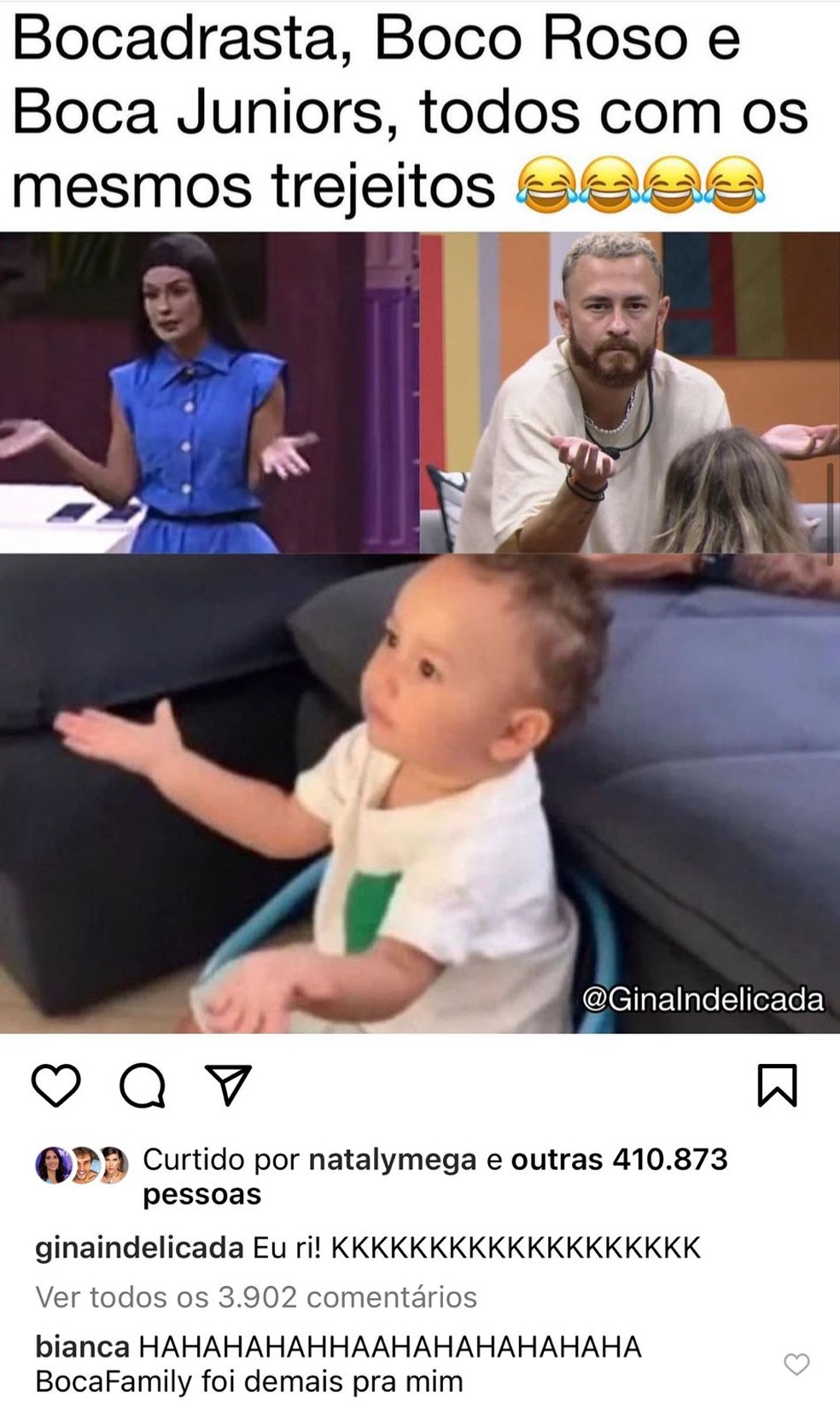 Meme sobre Larissa do BBB &mdash; Foto: Reprodu&ccedil;&atilde;o / Instagram