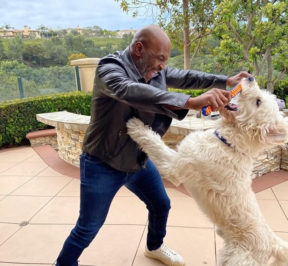 Mike Tyson brinca com cachorro durante a quarentena — Foto: Reprodução/Instagram
