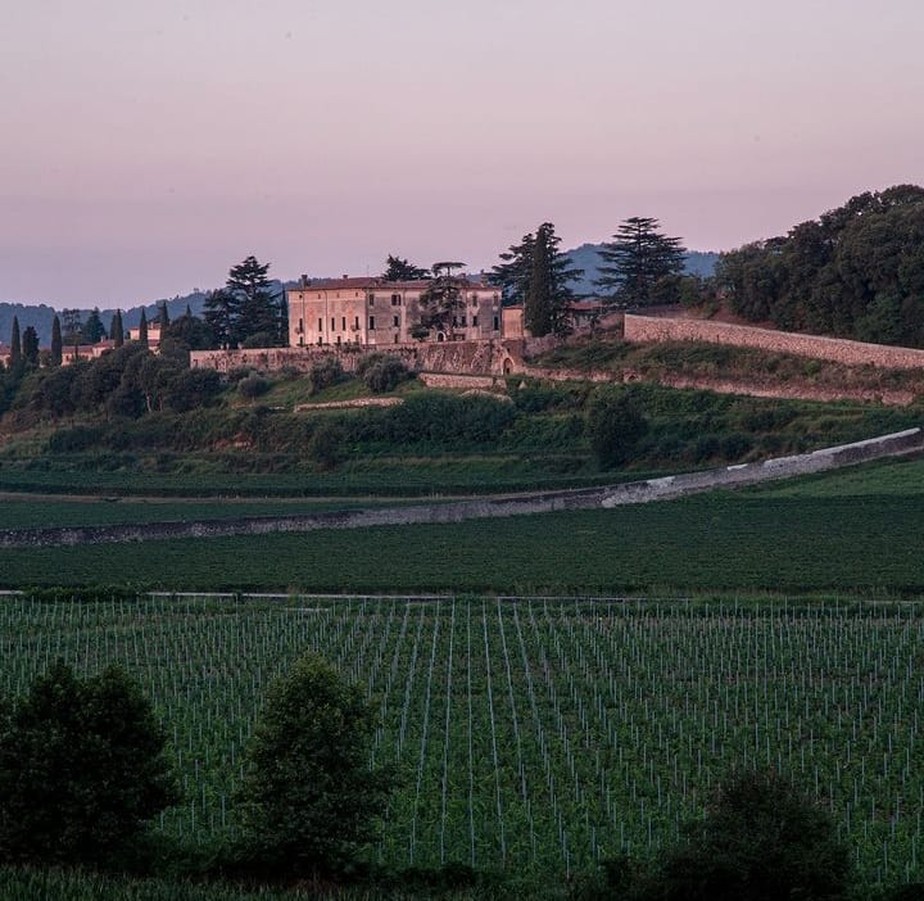 A Marchesi Antinori foi eleita a número um no ranking do World´s Best Vineyards