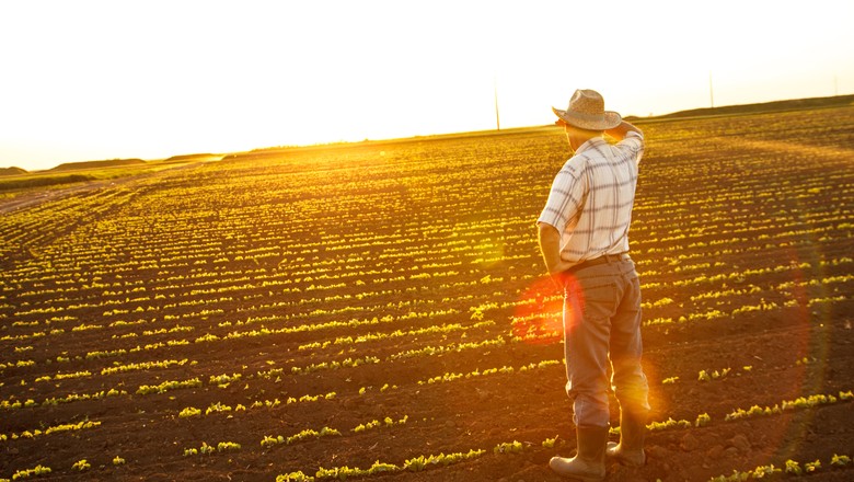 fazendeiro-fazenda-campo-por-do-sol-horizonte-interior-homem-pessoa (Foto: Thinkstock)