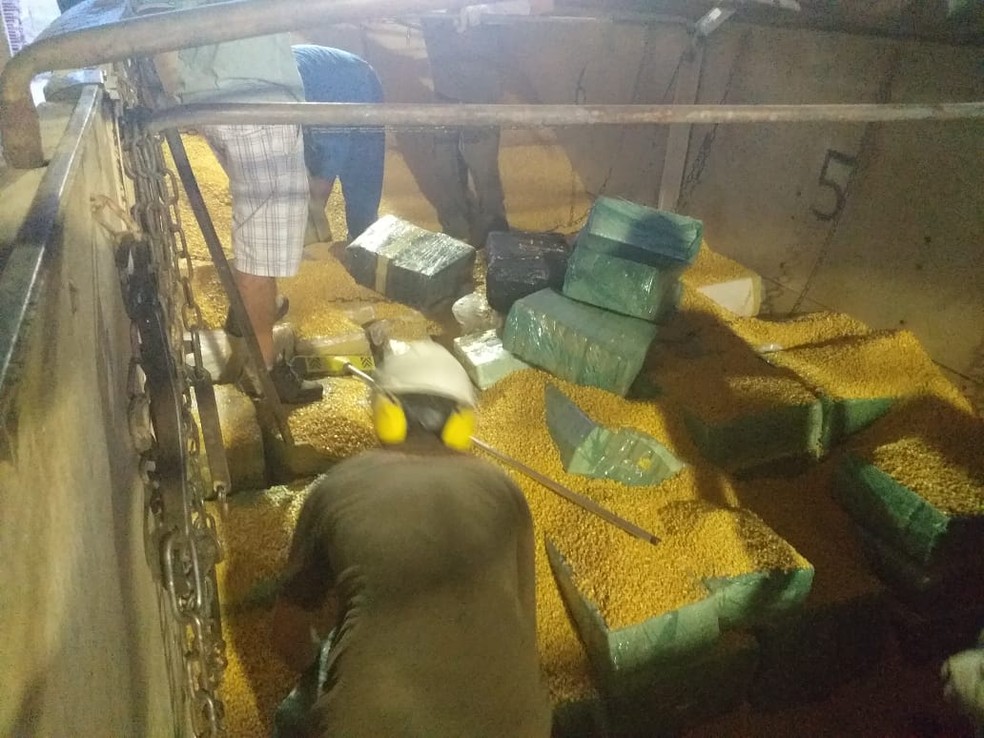 Maconha é encontrada em meio a carga de milho em Rancho Queimado na tarde desta terça-feira (30) — Foto: Polícia Civil/Divulgação