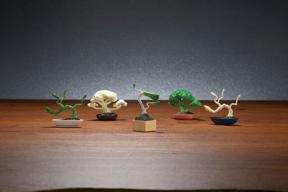Os vegetais aspargo verde, aspargo branco, cebolinha, brócolis e couve-flor foram transformados em bonsais miniatura