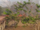 Defesa Civil registra 584 focos de incêndio em 18 dias no Amapá