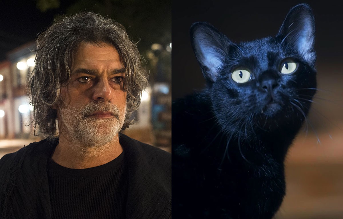 Eduardo Moscovis apareceu na novela como a forma humana do gato Léon (Foto: TV Globo / Reprodução)
