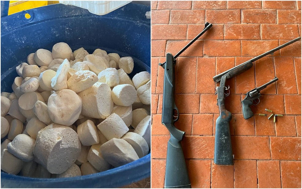 Queijos e armas apreendidas, em Mundo Novo, Goiás — Foto: Divulgação/PCGO