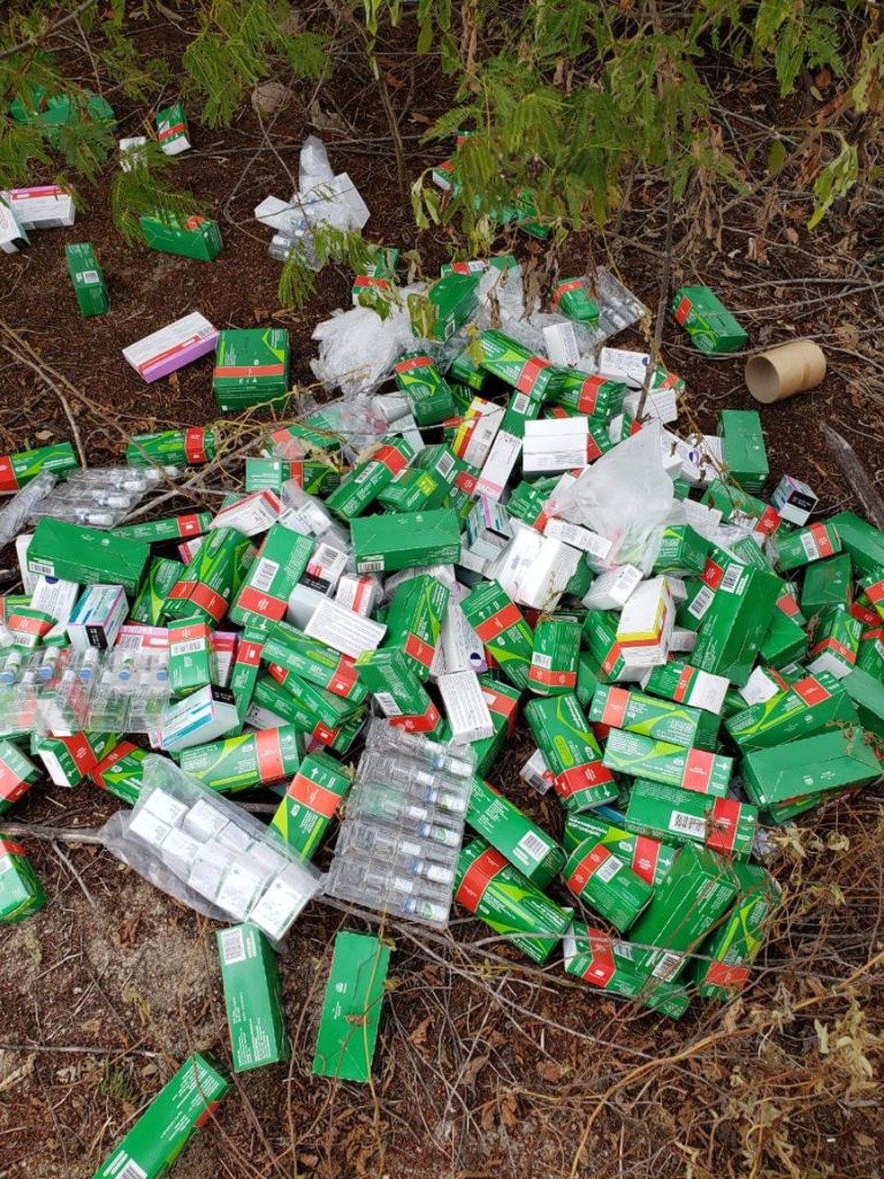 Caixas com frascos de vacinas são encontradas às margens da BR 406, em Taipu — Foto: Reprodução