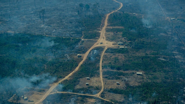 Área com desmatamento em polígono de desmatamento recente, identificado pelo Deter 2021 e Prodes 2019 e 2020, em Aripuanã, Mato Grosso. (Foto: Christian Braga / Greenpeace)