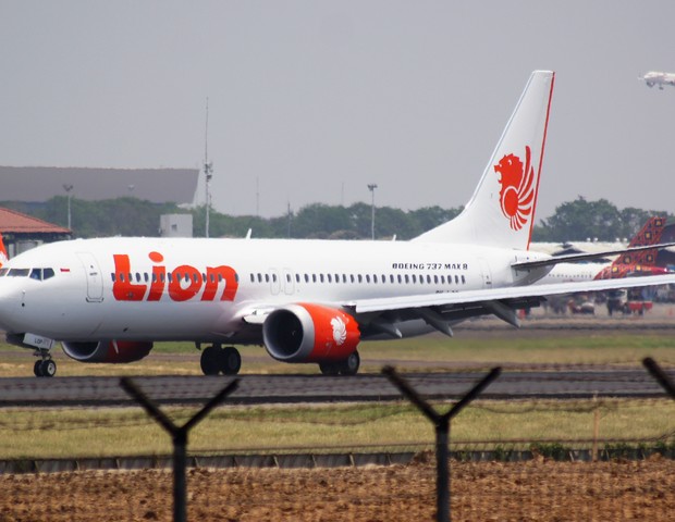 Bebê nasceu em voo na Lion Air (Foto: Reprodução/Wikipedia)