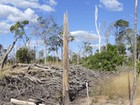 Queimada na Amazônia tem impacto mais severo na seca, aponta estudo