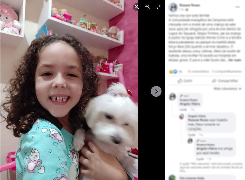 Isabela Fermino, de 7 anos, morreu após queda de uma árvore em parque de Campinas (SP) — Foto: Reprodução/redes sociais