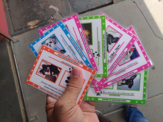 Empresário de Uberlândia aposta em carteiras de identidade para animais de estimação