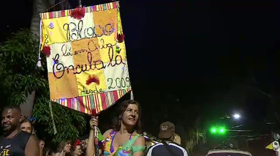 Homenageando Ricardo Galvão e os indígenas Yanomami, bloco do Inpe reúne foliões em São José dos Campos, SP. — Foto: Bruna Capasciutti/TV Vanguarda