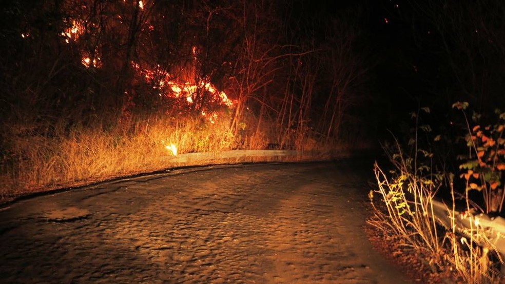 As chamas iniciaram dentro de um terreno do agricultor local. Bombeiros ainda trabalham para combater o fogo. — Foto: Agência Diário