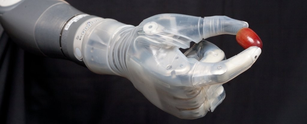 Braço robótico permitiu que homem pudesse sentir objetos (Foto: Mobius Bionics)