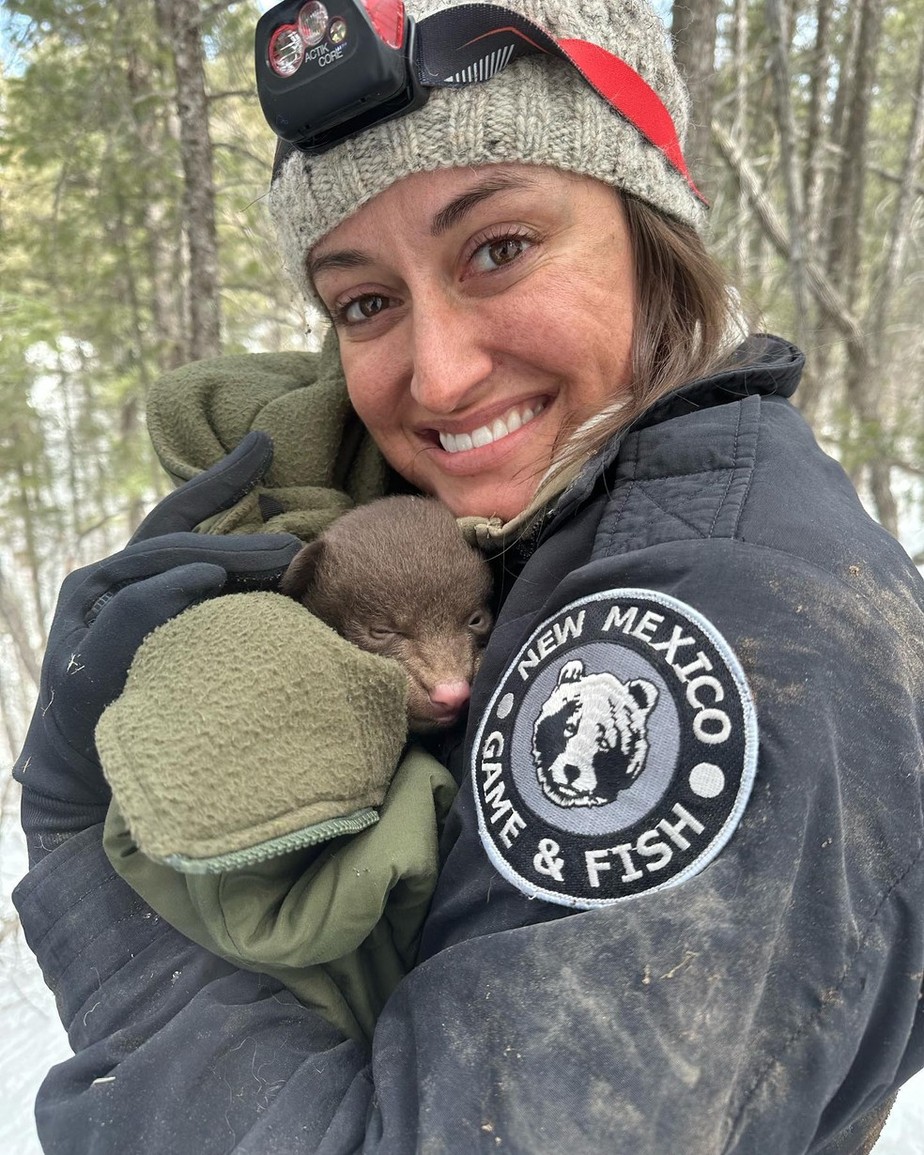 Abraçadores profissionais de urso: essa a vaga aberta pelo Departamento de Caça e Pesca do do Novo México