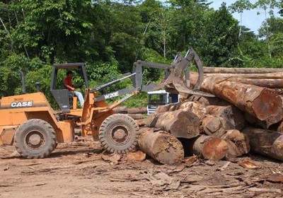 florestas_desmatamento_amazônia (Foto: Reprodução/AgênciaBrasil)