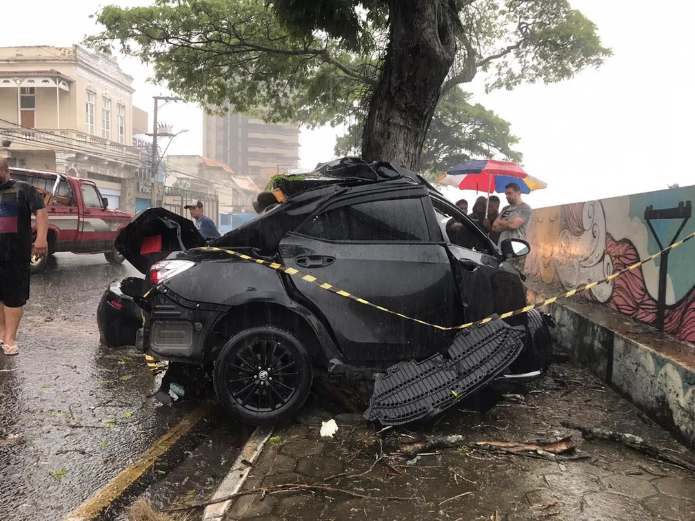 Carro que o empresário dirigia ficou destruído após bater em árvore em Campos, no RJ — Foto: Cléber Rodrigues/ Inter TV