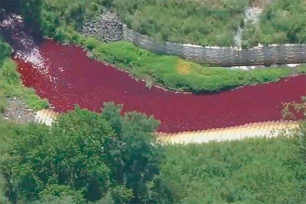 O riacho Pennsauken, em Evesham Township, no estado de Nova Jersey (Foto: reprodução)