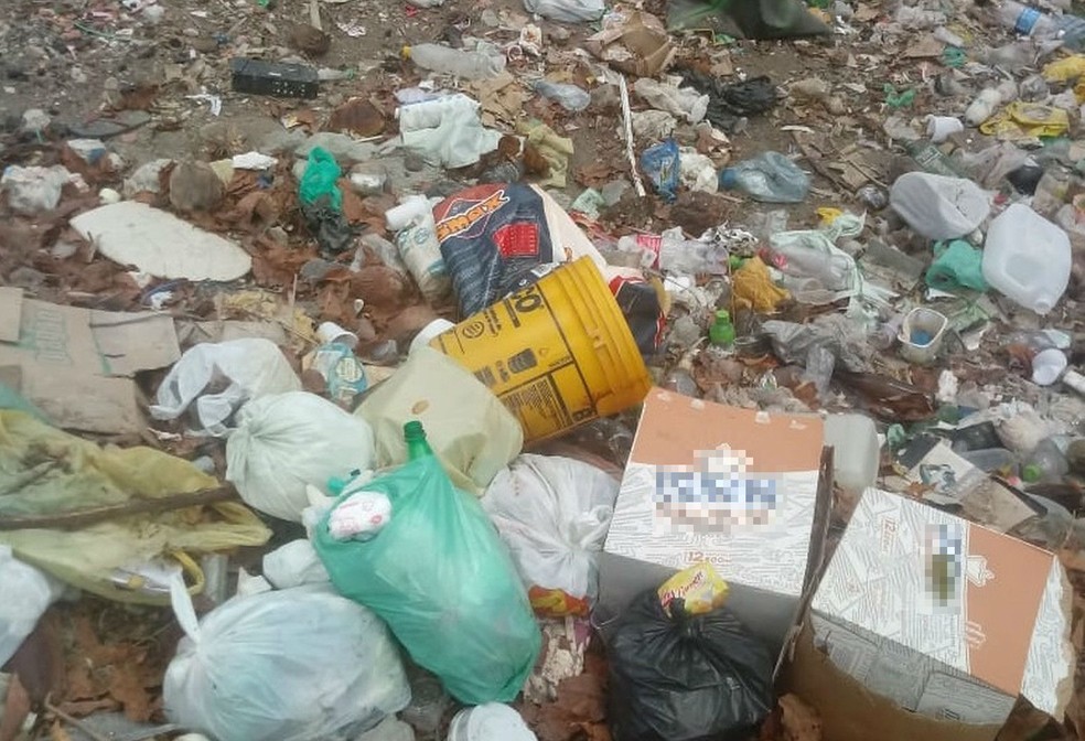 Cabe&ccedil;a foi jogada em lix&atilde;o dentro de balde  &mdash; Foto: Arquivo Pessoal