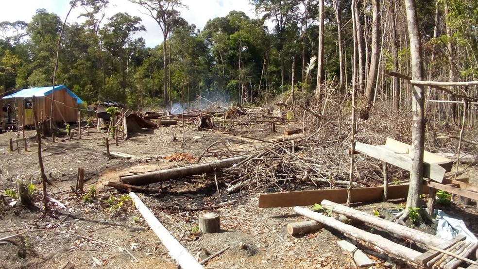 Fiscalização identificou 20 pontos de desmatamento ilegal (Foto: Divulgação/Imap)