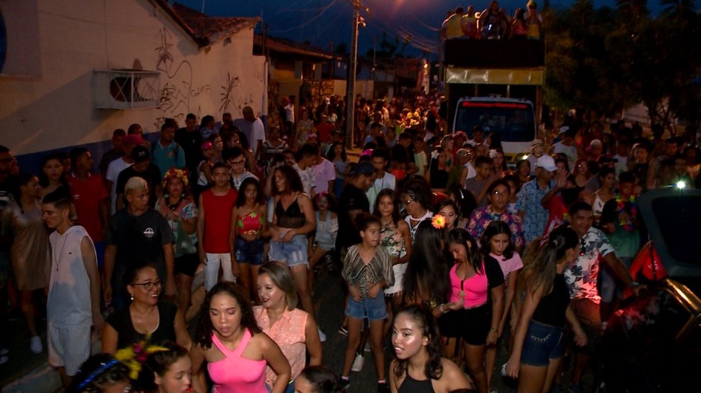 Multidão se reúne no bloco Vaca Atolada, na Zona Norte de Teresina — Foto: TV Clube