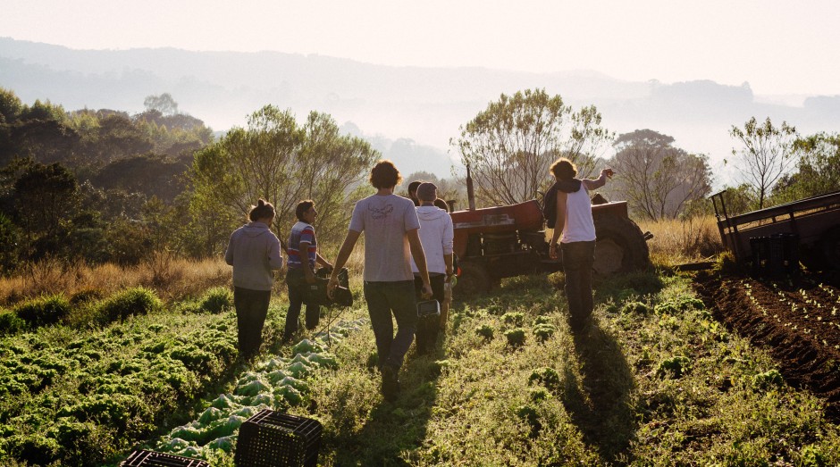 Agricultores que vendem pela Raízs (Foto: Ana Beatriz Pereira/Raízs/Divulgação)