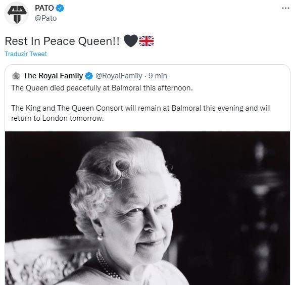 Pato lamenta a morte da Rainha Elizabeth (Foto: Reprodução / Twitter)